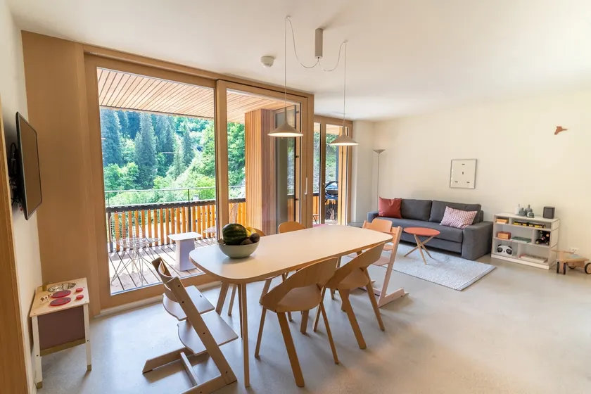 Nordic design apartment ski/bike/hike in and out - Image 1