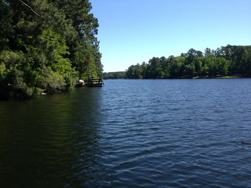 Lake House Retreat-Magical Stay For All Ages-Boats, Firepit, Hammocks and More - Image 1