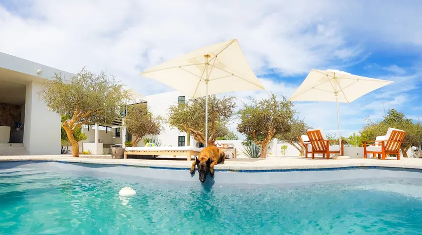 Casa E&N. Completely eco friendly out off grid. - Image 1