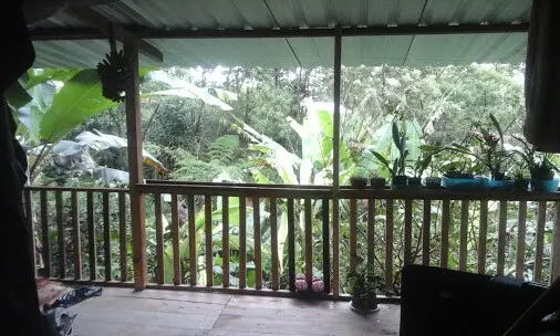 THE HOUSE OF THE PEACE, ABIERTO - Image 1