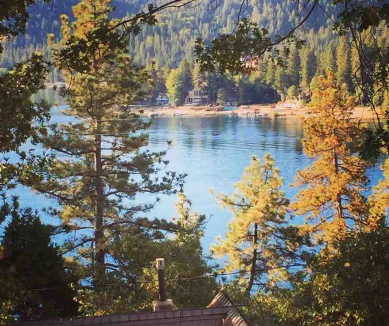 Epic LakeView cabin w/Lake Access/fire pit/dogs ok - Image 1