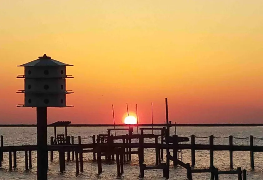 Sunset Special: 5 min to Beach @ MP6, Dog Friendly - Image 1