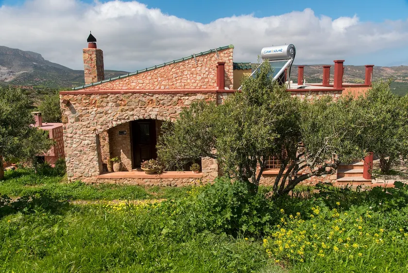Villa in the Olive Grove - Image 1