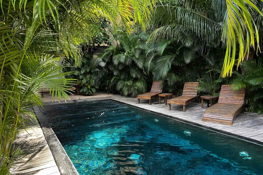 Feel The Jungle Vibe Surrounded By Palms - Image 1