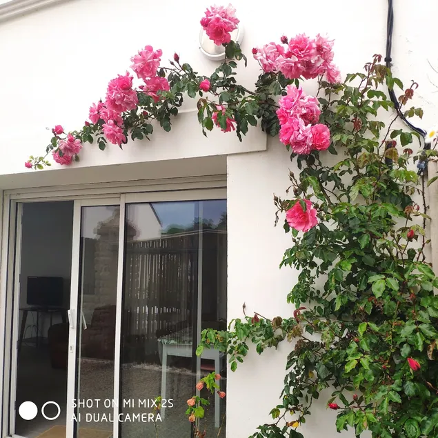 Apartment with enclosed garden, 2 bedrooms, 60 m2, everything within walking distance - Image 1