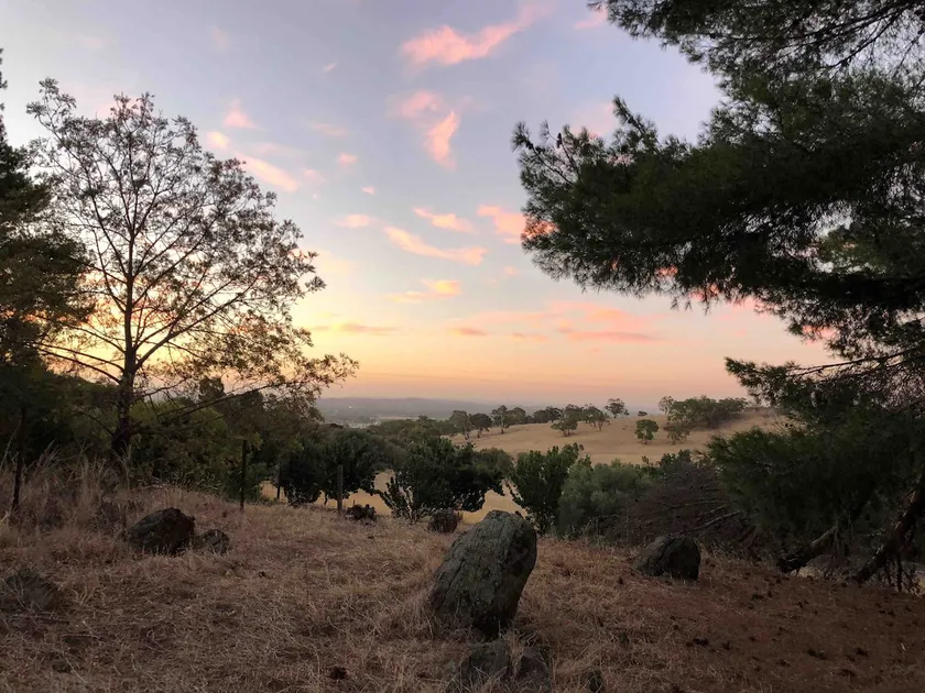 Pinecone Ridge, Barossa - enjoy your own 16 acres - Image 1