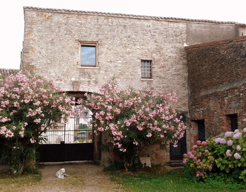Queit Country Cottage w/ Swimming Pool near Verona - Image 1