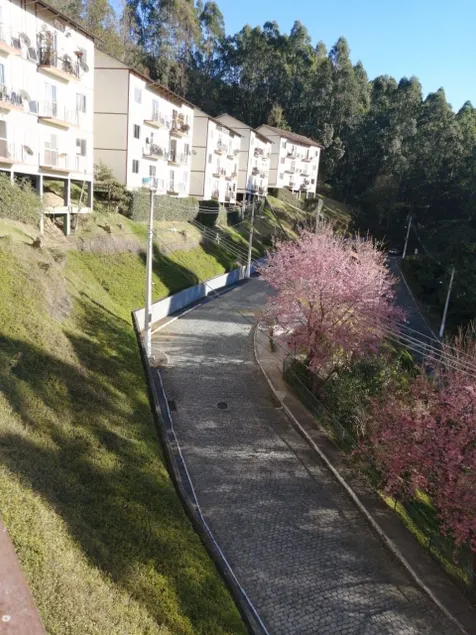 Nova Friburgo Cond with wonderful views of the Serra - Image 1