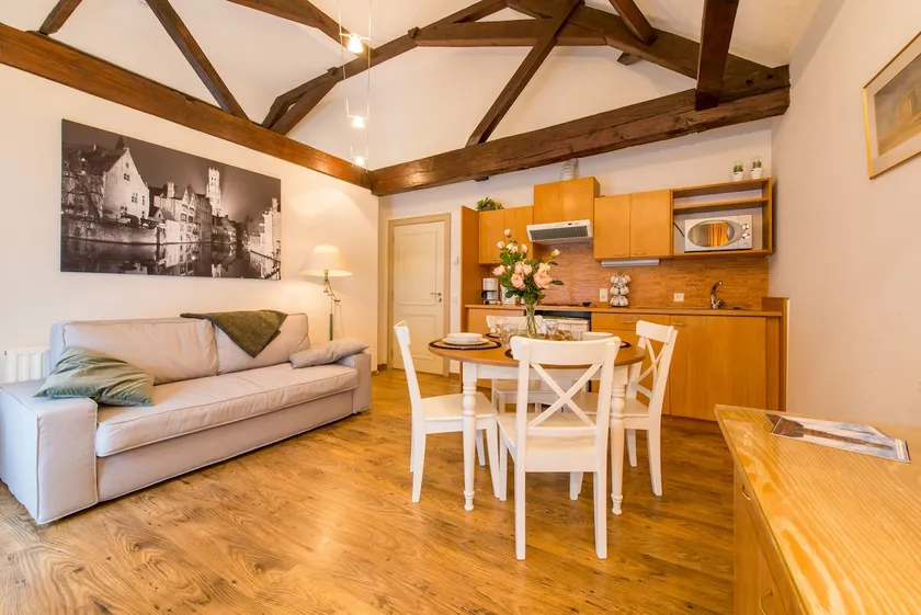 Spacious apartment in the historical center - Image 1