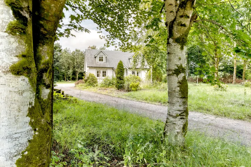 Idyllic Woodland Lodge 1 hour from Edinburgh - Image 1
