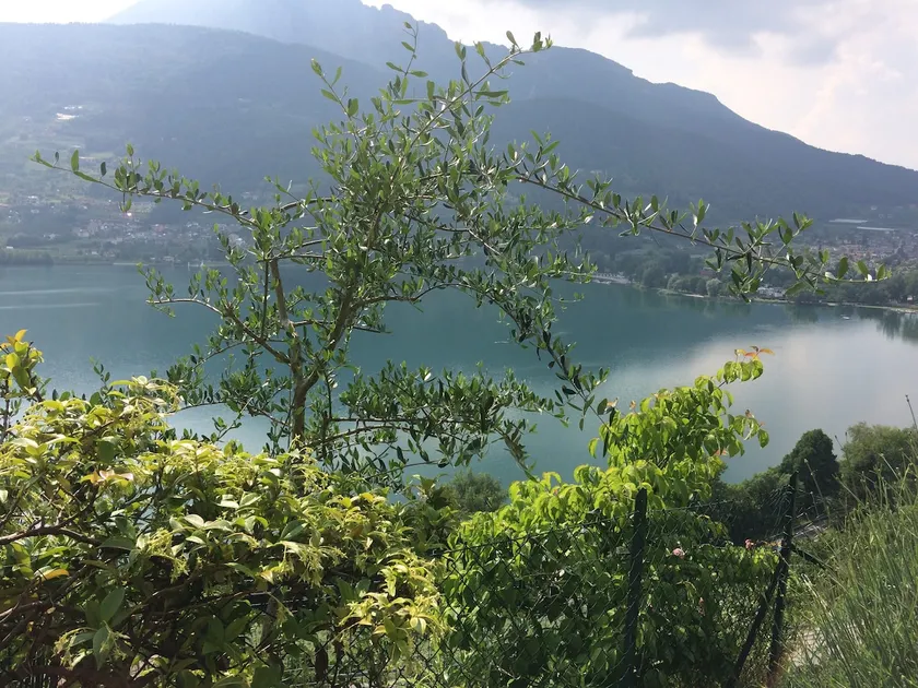 Ai Caneveti Apartment (IT022139 C2FT4 E36XE) - Image 1