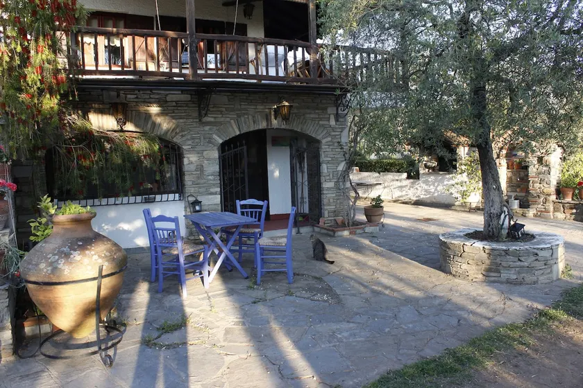 House in an olive grove, near the sea - Image 1