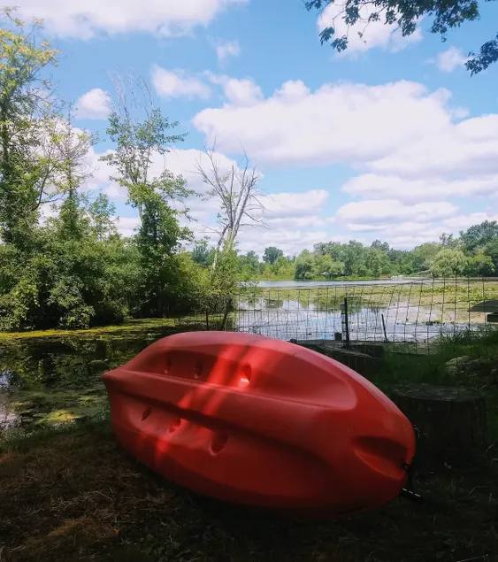 Kayaks & Coffee 2 in Novi - Image 1