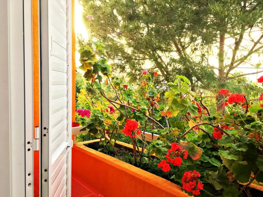 Villa Clementinka - 200 meters from the sea - Image 1