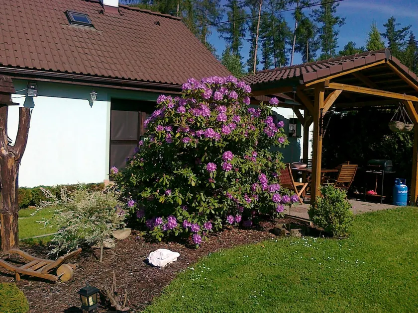 Český Ráj - Prachovské skály. Accommodation in privacy - Image 1