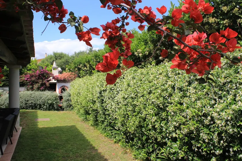 Beautiful Villa with garden - Image 1
