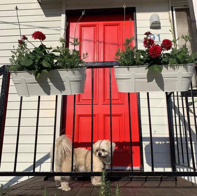Family Pet Friendly Home 3bed/2bath/Sleep 6 - Image 1