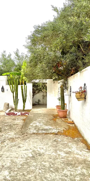 Ground floor with terrace, 5 minutes from the beach - Image 1