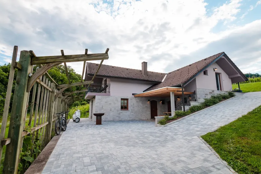 Vineyard cottage Radulja - Image 1