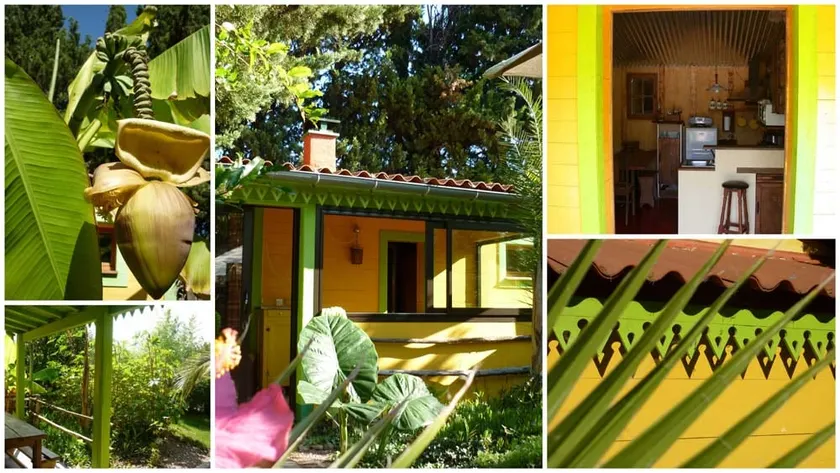 Exotic House 60m2 THUIR France - Image 1