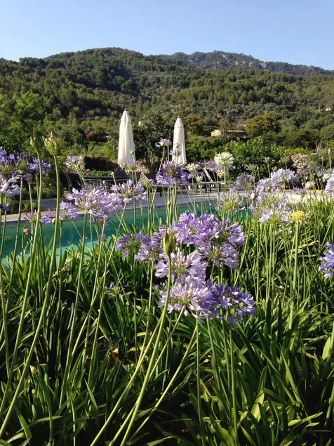 Can Busquera - Image 1