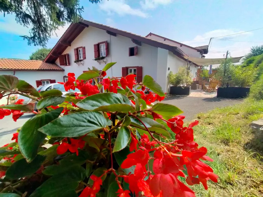 Gîte in the heart of the Basque Country on a working farm - Image 1