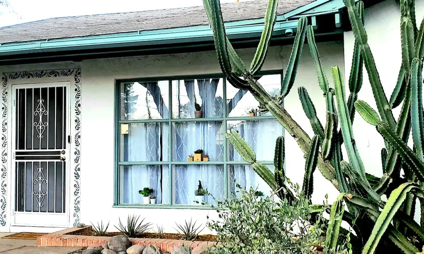 The Cactus House Welcomes You! - Image 1