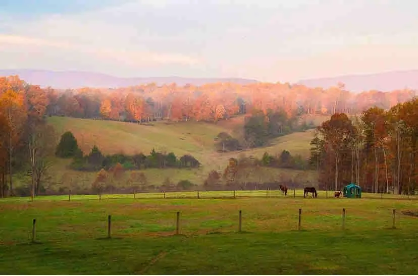 Cozy stay with scenic views on a horse farmette - Image 1