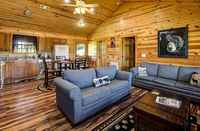 Cozy Private Cabin! 3BD2Bath/Hot Tub/GSM/Lake/Pool/Pet-friendly/Gated community - Image 1