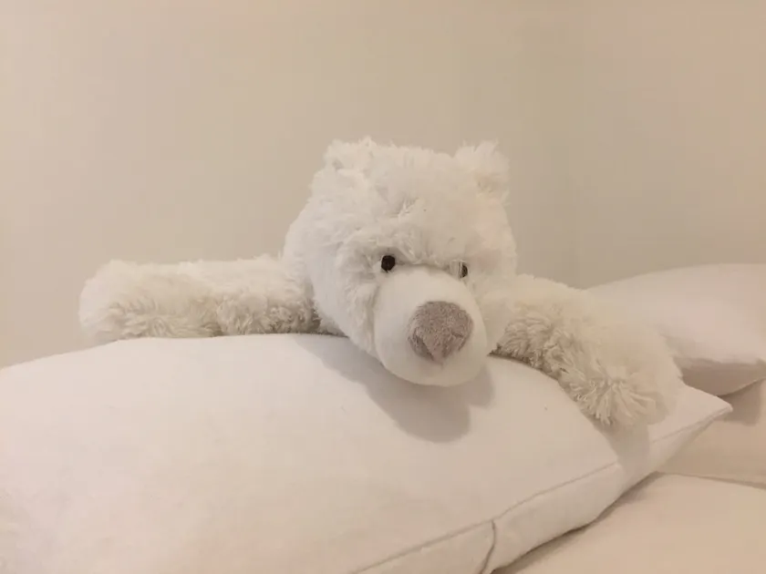 La Tanière de l'Ours Blanc Aubagne Cassis Aix-en-Provence - Image 1