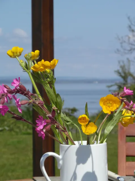 Lapwing Lodge - Image 1