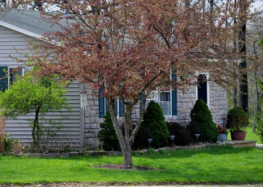 Tante Connies Cottage - Image 1