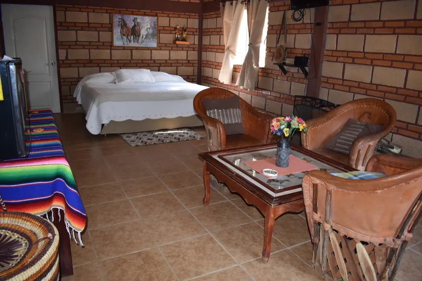 Large bungalow with private jacuzzi in the woods - Image 1