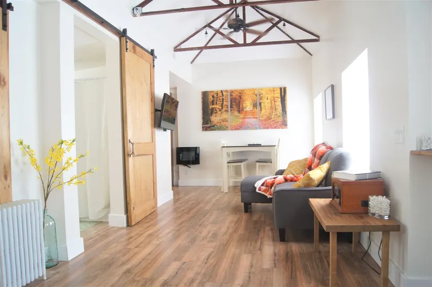 Private 1 Bedroom Modern Apartment - Image 1