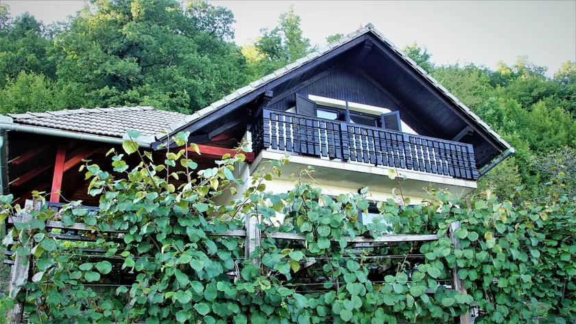 Vineyard Cottage Zajc - Image 1