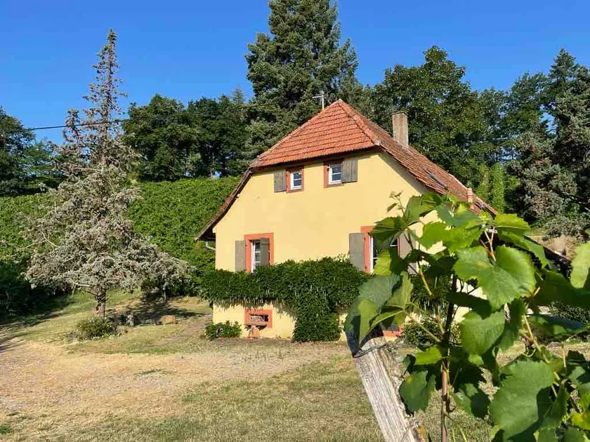 Rebhaus Durbach - Image 1