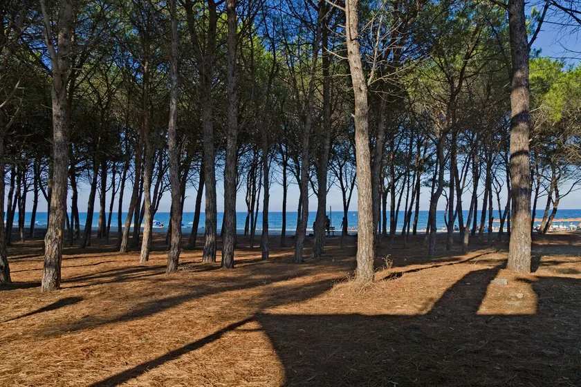 DIRECT ACCESS TO THE BEACH !!! - Image 1