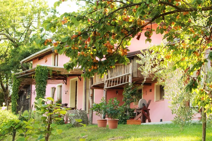 Relaxing home on the hill - Image 1