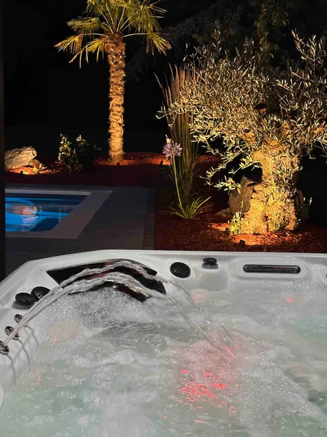 upscale house with pool, spa, 3 bedrooms - Image 1