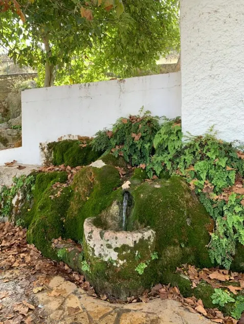 Villa Remedios - Image 1