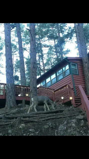 Favorite Red Cabin - Pool Table-WIFI-Comfy - Image 1