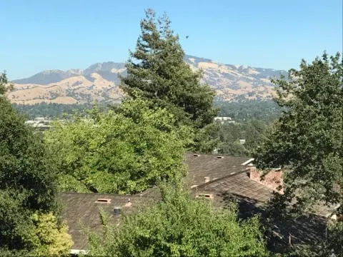 Mt. Diablo view 2 Bedroom/ King & Queen Suite - Image 1