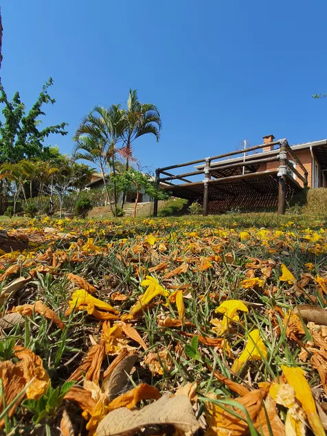 Lake House - Image 1