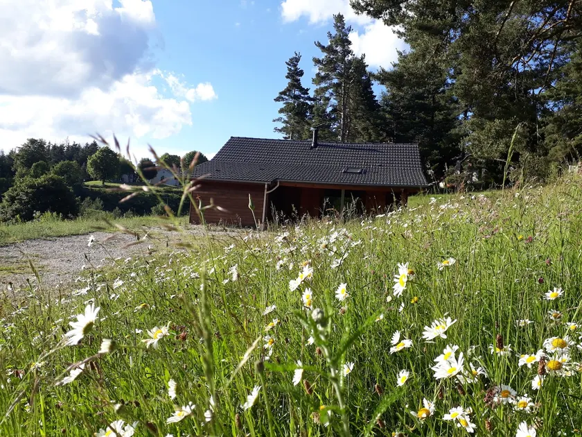 Chalet bois en pleine nature - Image 1