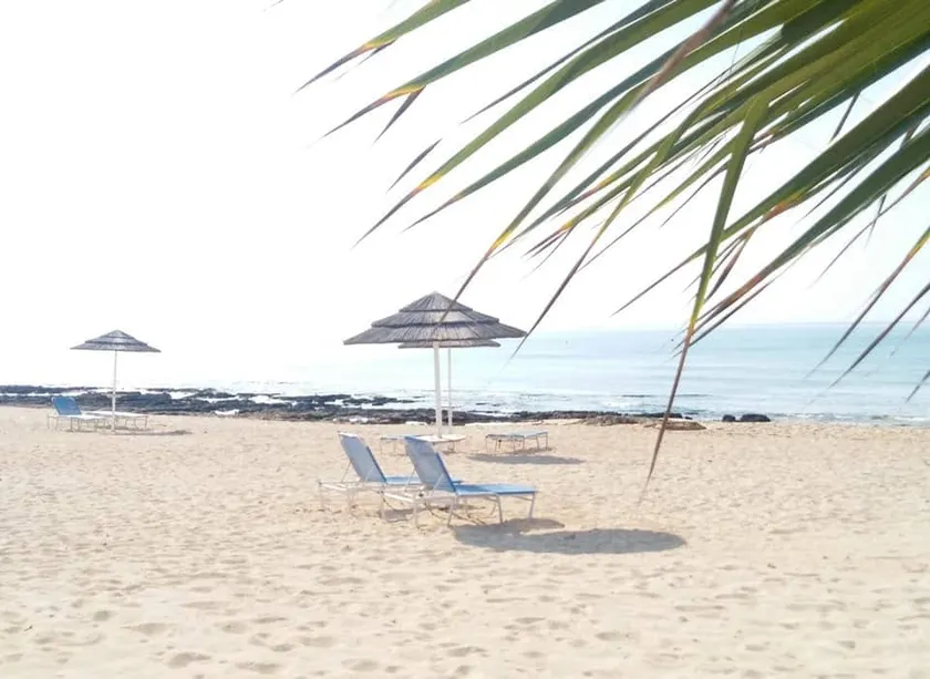 The SeaShell apartment, 100 mtr from the beach - Image 1