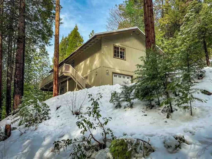 Private Treehouse Chalet, Pet-friendly, 2 Suites - Image 1