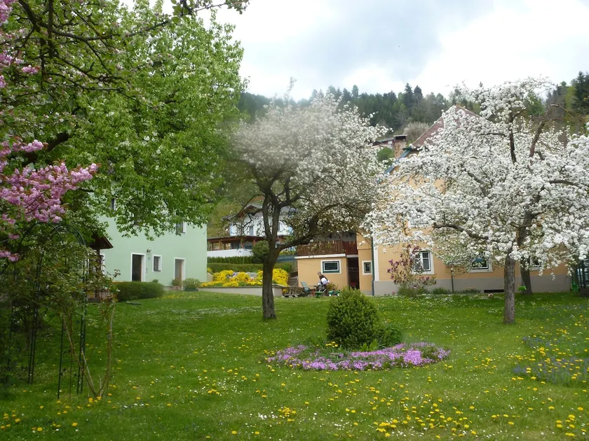Haus Tamberger-Appartements-St.Stefan-Friesach - Image 1