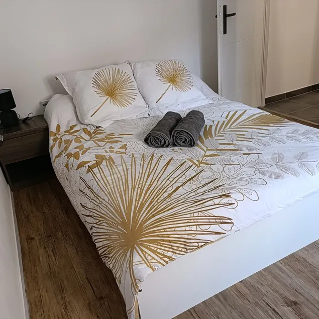 Roussillon city center apartment - Image 1
