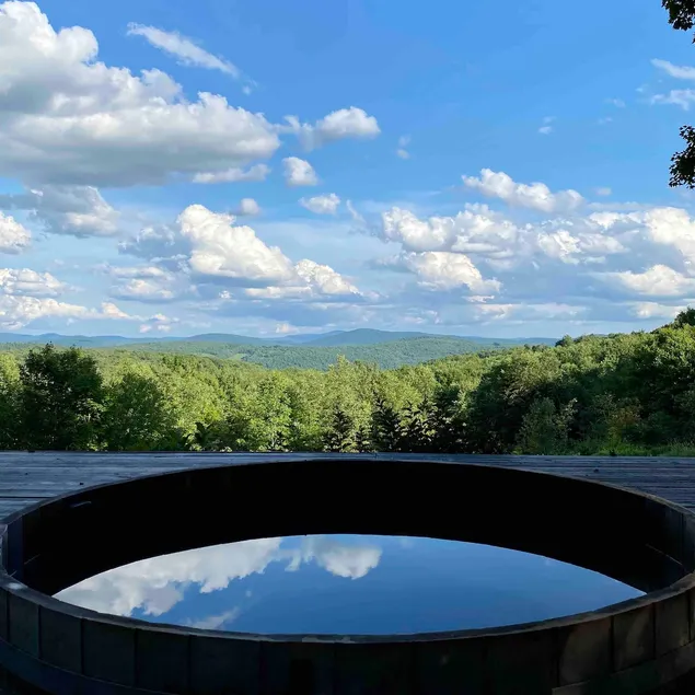 Catskills Cabin on 34 acre Estate stunning views - Image 1
