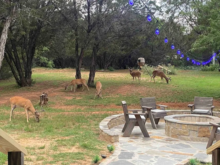 Shipley Lake Retreat- Firepit & Patio! - Image 1